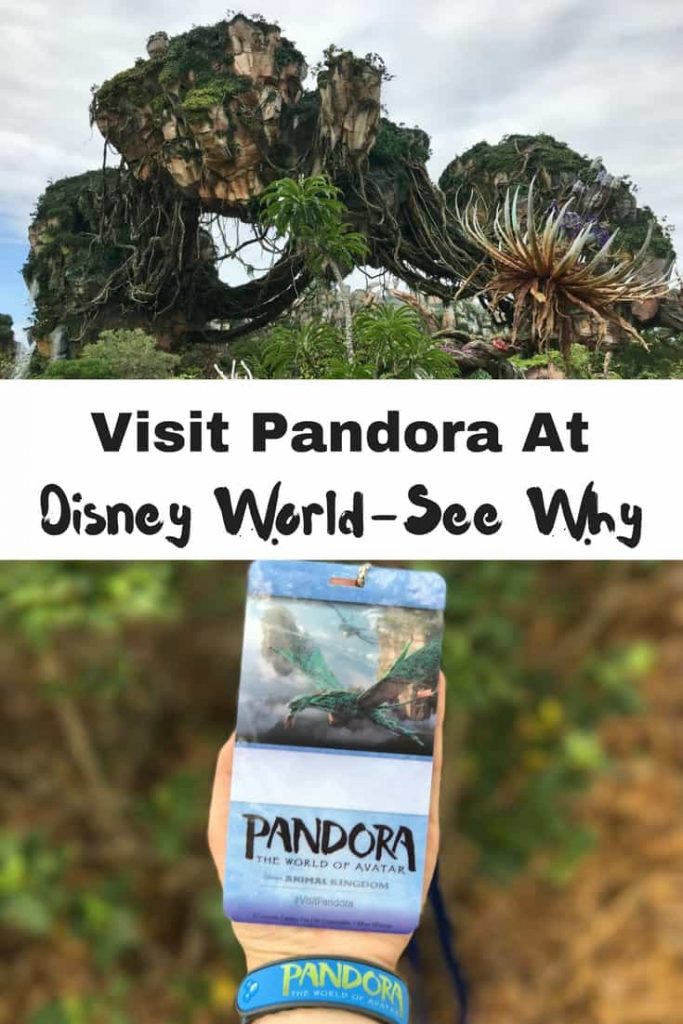 We share 3 reasons why you should visit Pandora the World of Avatar. 