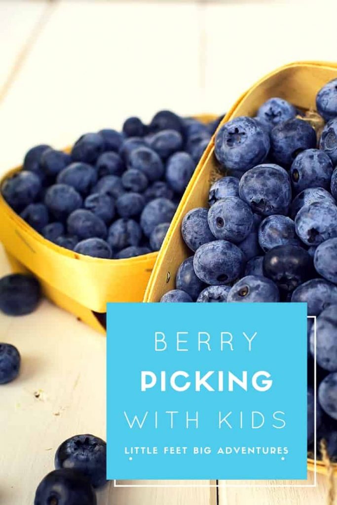 Berry picking with kids. A list of everything you need to bring with you. 