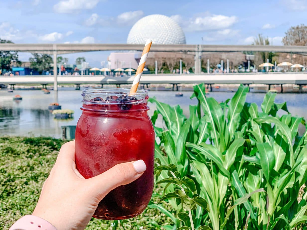 Drink at Epcot International Flower and Garden and Festival